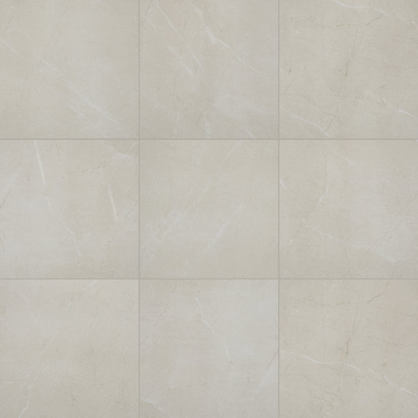 Daltile Carreau de mur et de plancher en porcelaine 24 po x 24 po